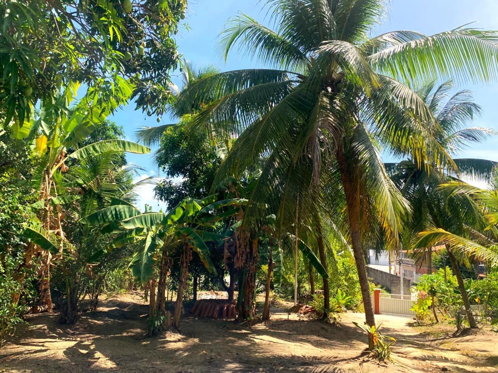 Hotel Jacarecica Haus Maceió Zewnętrze zdjęcie